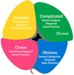 cynefin framework