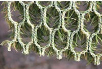 Gras'matje'